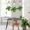 Nordic Plant Chain Pendant Lamp - Thumbnail Image 2