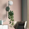 Minimalist Warm Glass Plant Sconce - Thumbnail Image 6