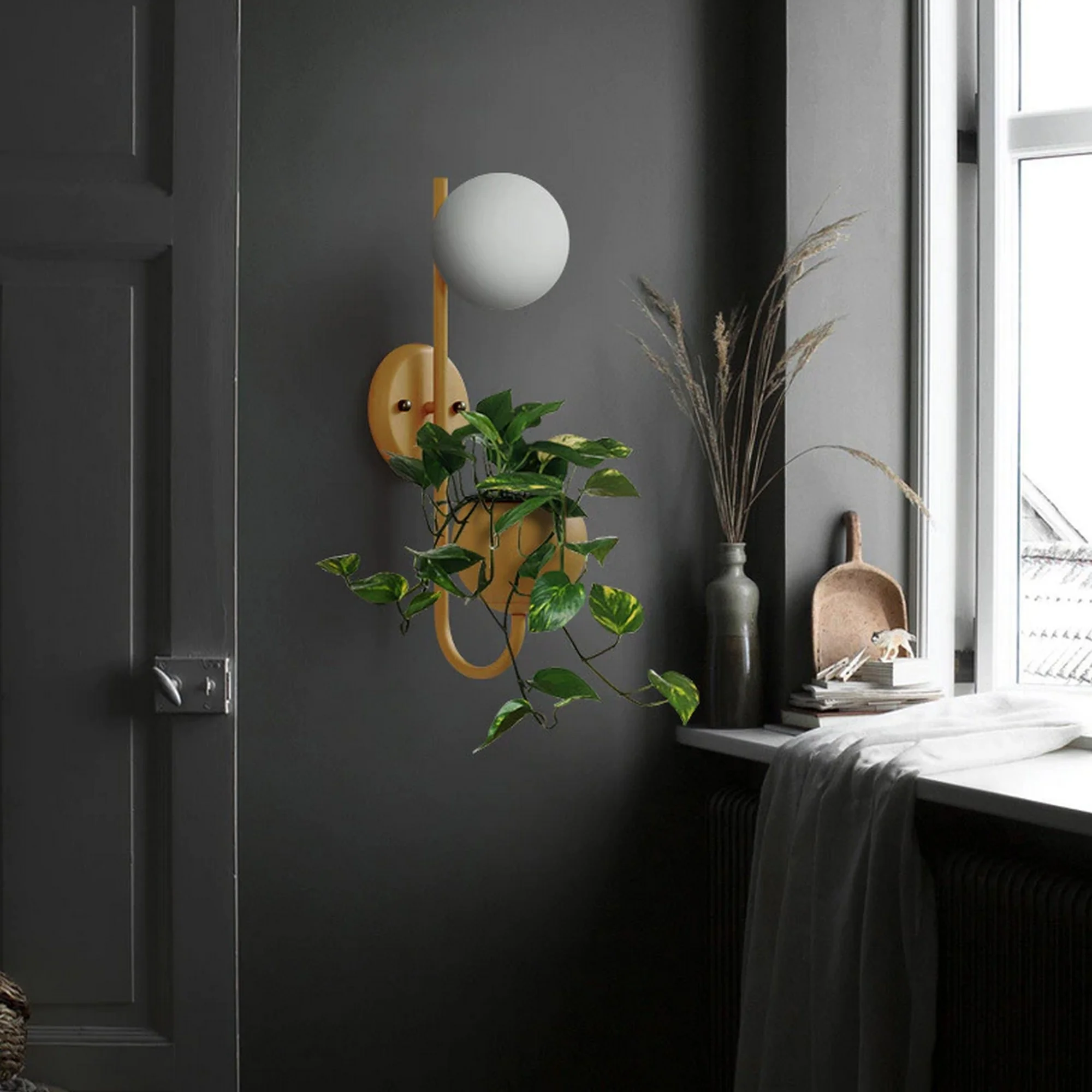 Minimalist Warm Glass Plant Sconce with a frosted globe light and hanging greenery, mounted on a dark wall beside a bright window.