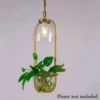 Nordic Plant Chain Pendant Lamp - Thumbnail Image 6