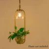 Nordic Plant Chain Pendant Lamp - Thumbnail Image 7