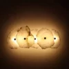 PETRA SCONCE - Thumbnail Image 10