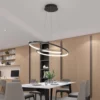 Minimalist Design Hanging Ring Chandelier - Thumbnail Image 1