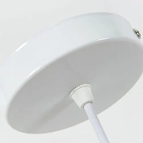 Farmhouse Plant Design Pendant Light - Image 3