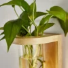 Transparent Glass Plant Pot Wall Lamp - Thumbnail Image 9