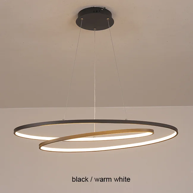 Minimalist Design Hanging Ring Chandelier - Image 5